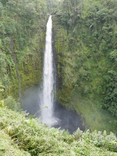 P1010208