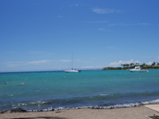 P1010288
